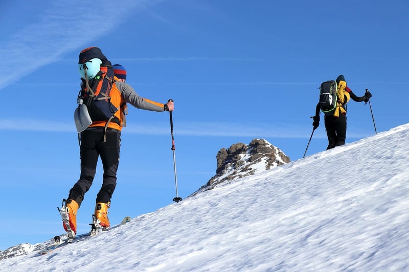 Backcountry Journeys
